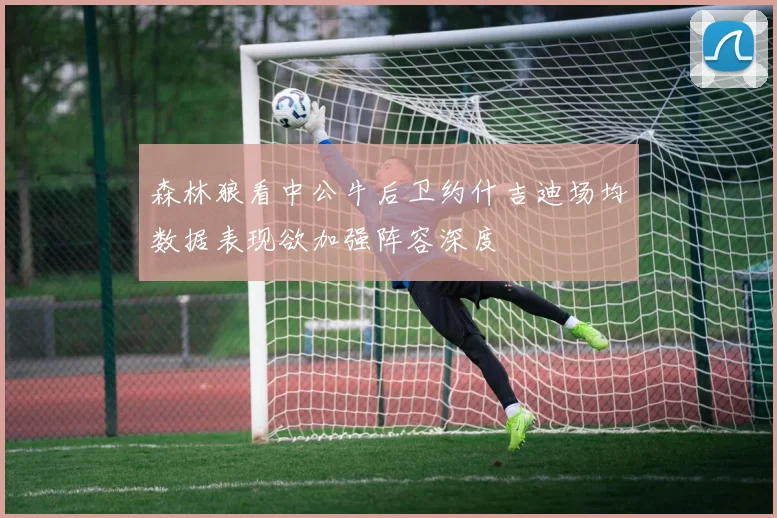 森林狼看中公牛后卫约什吉迪场均数据表现欲加强阵容深度